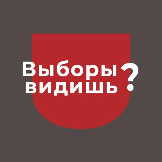 Выборы видишь? | Зеркало Политика