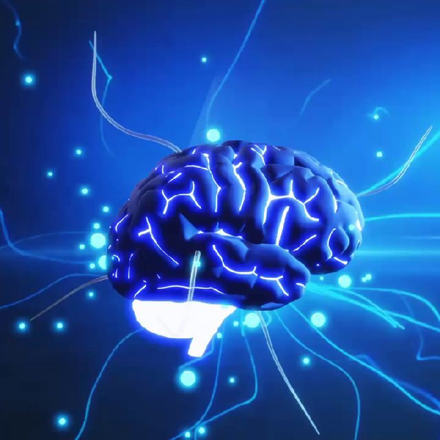 Brainstorm Alphas