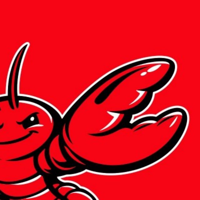OpenClaw